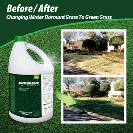 Endurant Turf Colorants - Fairway Spray On Green Grass Paint for Lawns - Revives Dry, Patchy Yards - Dark Grass Hue - Easy to Use, Concentrated Turf Grass Dye - Covers Approx 10,000 Sq Ft - 1 Gal