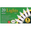 20-Count Clear Christmas Mini Lights, 5 ft Green Wire Strand