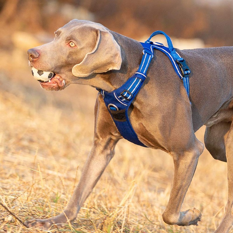 TRUE LOVE Dog Harness No Pull Nylon Reflective Pet Harness