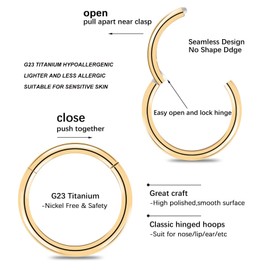 BOGKU G23 Titanium Nose Ring Hoops - Nose Septum Clicker Rings 20 Gauge 8mm Nose Rings Pink Nose Ring Hoop Hypoallergenic Nose Rings Helix Cartilage Rook Earrings