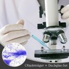 Pack of 100 Pre-Cleaned Microscope Slides and 200 Microscope Cover