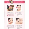 Evolution Foundation, Everlife, Bi, Koujun Perfect, Mesh Dobote, High Cover,