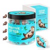 JULEASEL Positive Otter Cards Jar – 60 Cute Positive Affirmations