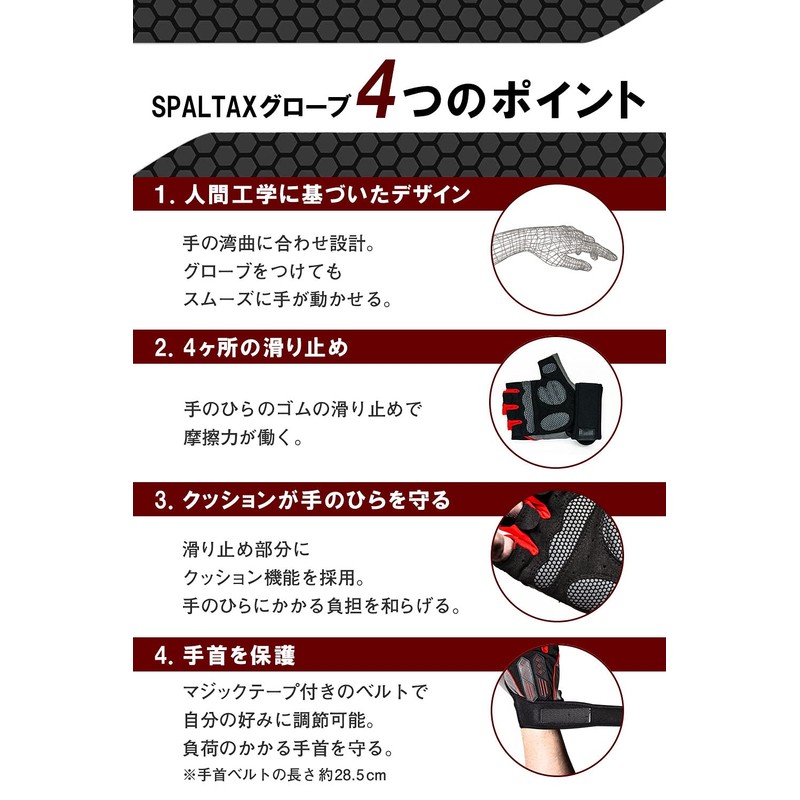 [SPALTAX] Training Gloves, Men's, Muscle Training Gloves, Bench Press Gloves,