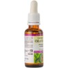 Natural Factors Natural Factors - Organic Oil of Oregano, 30