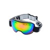 RAVS by Alpland ski goggles snowboard goggles - SPECIAL DESIGN