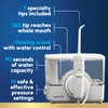 Waterpik ION Professional Water Flosser, Rechargeable and Portable for Teeth,