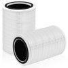 12010 HEPA Replacement Filter for Clorox Large Room Air Purifier