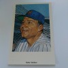 Capital Cards Postcard Rube Walker NY Mets Ron Lewis Artwork