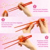 Chopsticks and Chop Stick Helpers 5 Pairs Set, Plastic Hinges