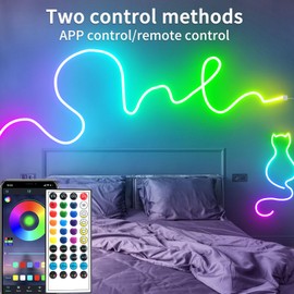 segrass 100ft LED Neon Lights 24V RGB LED Rope Lights with Remote Control APP Control IP65 Waterproof Flexible Neon LED Strip Lights for Bedroom Room Outdoors Decor (2 Rolls of 50ft)