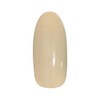 PRE GEL カラーEX フェリチータの鐘楼914 3g PG-CE914 UV/LED対応