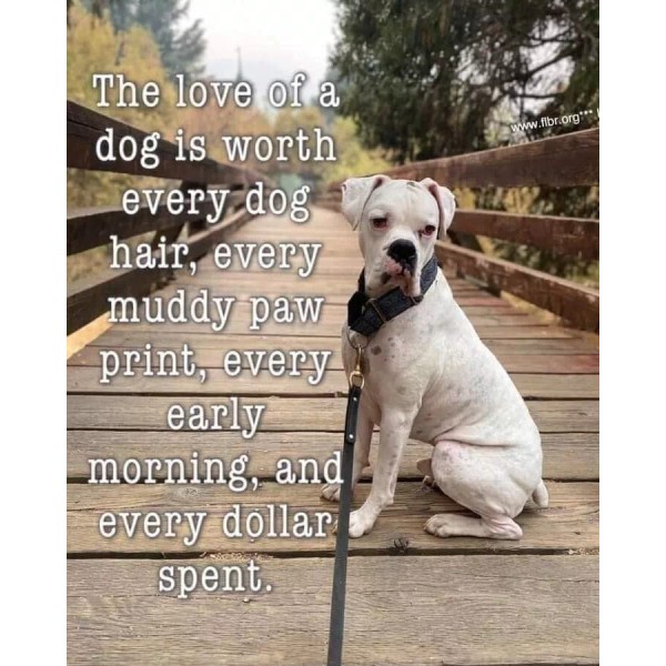 Inspirational dog refrigerator magnet 3 1/2 x 4 1/2"