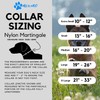 Max and Neo Nylon Martingale Collar - We Donate to