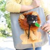 Pet Canvas Bag Cute Lion Shaped Multi Purpose Portable Pet