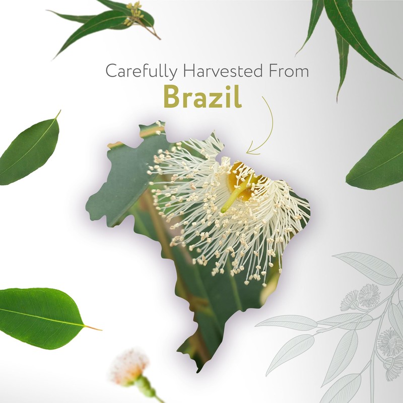 HBNO Lemon Eucalyptus Essential Oil - 8.8 lbs (4kg) -