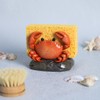 WAIT FLY Resin Crab Sponge Holder for Kitchen Sink Counter,