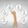 Nose Plasters Pack of 50 Against Snoring Extra Good Hold