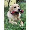 Nuts For Knots "Twist-Tee" 2 Knot Tugger Cotton Dog Toy