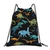 Richugui colorful Bags Drawstring Backpack Cartoon Dinosaur Drawstring Sports Gym