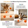 Automatic Interactive Dog Ball - Self Moving Toy for Medium
