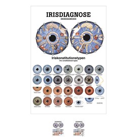 Sport-Tec Iris Diagnosis Mini Poster Anatomy 34 x 24 cm Medical Teaching Aid