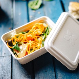 BIOZOYG Organic Disposable Sugarcane Bagasse Bowls Disposable Tableware Biodegradable I High-Quality Menu Box Undivided Disposable Bowl Compostable 500 ml I 50 Menu Bowls Rectangular 12 x 17 cm White