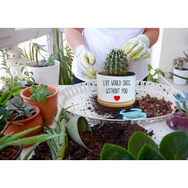 WHING Life Would SUCC Without You - White Ceramic Engraved Mini Succulent Cactus Planter Pot, 3.5 inch Succulent Indoor Flower Plant Pots with Bamboo Tray for Home Office Windowsill Gifts