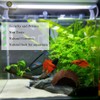 SunGrow Betta Fish Cave, Habitat Made from Coconut Shell, Soft-Textured