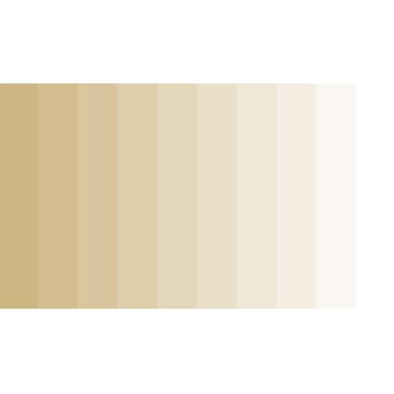 Grout Shield Grout Restoration System- Tile and Grout Surfaces Restoration