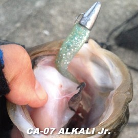 Coreman CA-07 Worm Alkaline Junior #001 Anchovy.