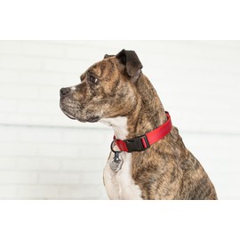 FreezeTag Dog Tag Silencer and Connector, One Size, Graphite