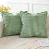 Artscope Sage Green Cushion Covers Set of 2 Corduroy Decorative