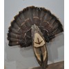 Turkey Fan Plaque Turkey Mounting Kit Turkey Hunting Turkey Fan
