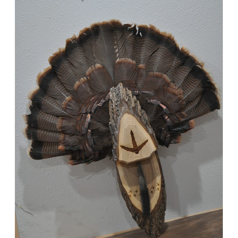 Turkey Fan Plaque Turkey Mounting Kit Turkey Hunting Turkey Fan