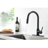 Havin Black Kitchen Faucet with Pull Down Sprayer, with 10"