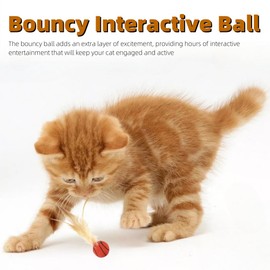 KAEGOUSY 3Pcs Cat Toy Balls with Feather Interactive Feather Toy for Indoor Cats Bouncy Ball with Feather for Cats Indoor and Outdoor Play Interactionion