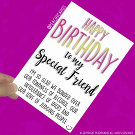 Birthday Cards Funny Birthday Card for Friend Novelty Cards Banter Happy Birthday to My Special Friend Best Friend Card Happy Birthday PC534