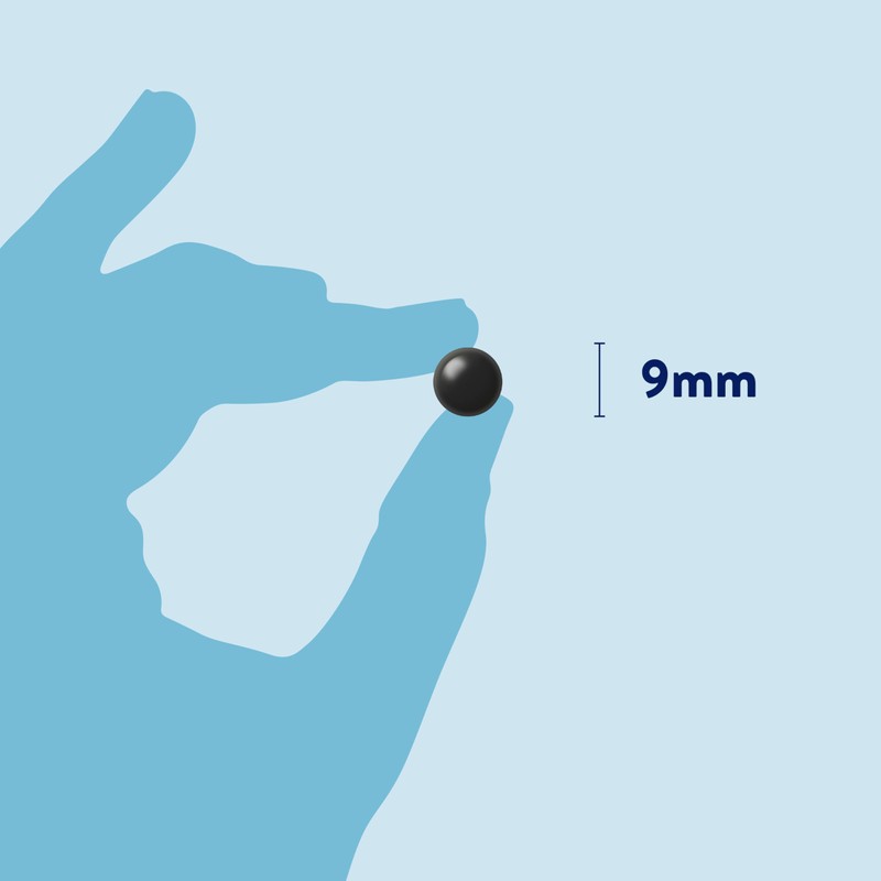 Dorwest Herbs Kelp Seaweed Tablets for Dogs and Cats 500