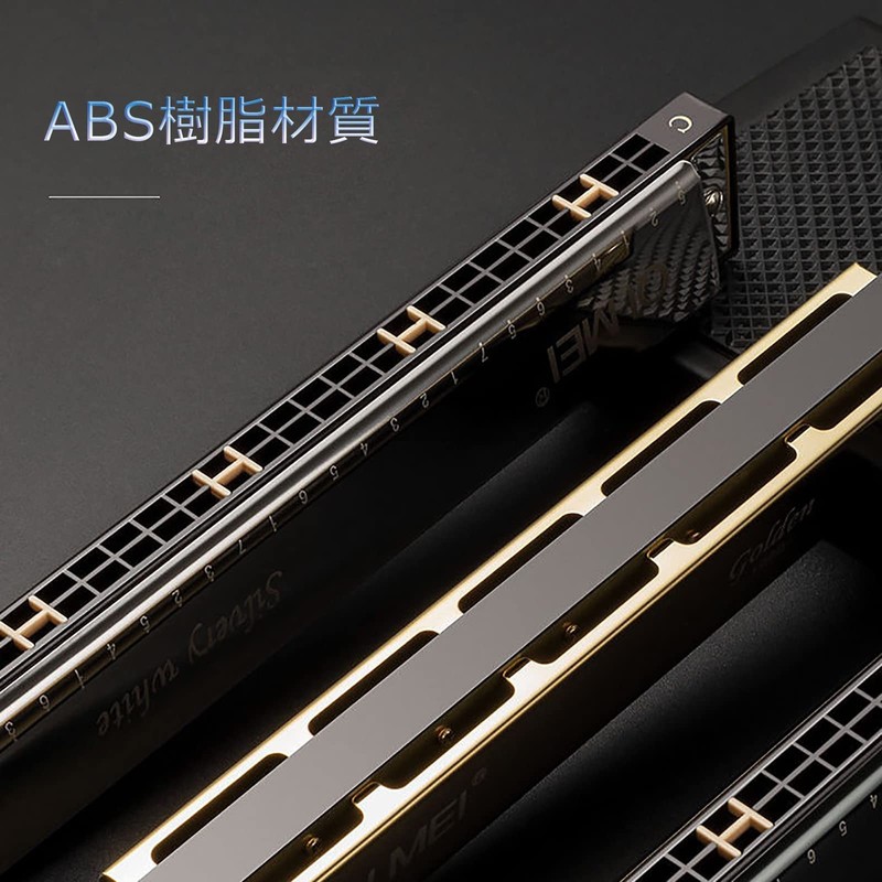 Blues Harmonica 10/24 Hole Stainless Steel C-Tone Airtight Beginner Advanced