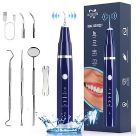 Plaque/Tartar Remover for Teeth, Dental Calculus Remover Teeth Cleaning Kit with LED Light & 5 Adjustable Modes Oral Removable - Color: JYQ-01-Prilotte STORE01