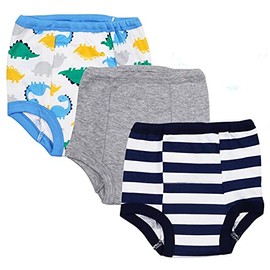 Gerber Little Boys 3-Pack Training Pant - Dinosaurs (2T)