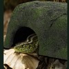 Heated Reptile Cave Reptile Rock Hide Cave Hiding Place for
