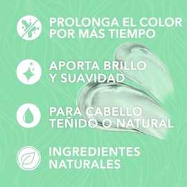 HIDRACOLOR - Color Shampoo 300 ml, Champú que Fortalece, Humecta y Protege, Prolonga el Color de Cabellos Teñidos, con Filtros UV, para Cabello con Brillo, Sedoso y Desenredado, Acondiciona el Cabello
