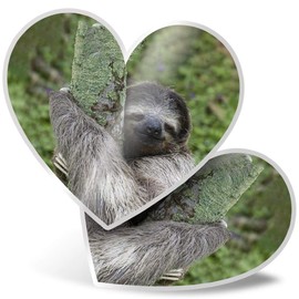 2 x Heart Stickers 7.5 cm - Beautiful Sleepy Sloth Lazy Cute Fun Decals for Laptops,Tablets,Luggage,Scrap Booking,Fridges, 15836