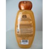 Garnier 3 Garnier Whole Blends Honey Treasures Repairing Shampoo (2)