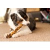 Redbarn 12" Premium Braided Bully Sticks for Dogs - Natural