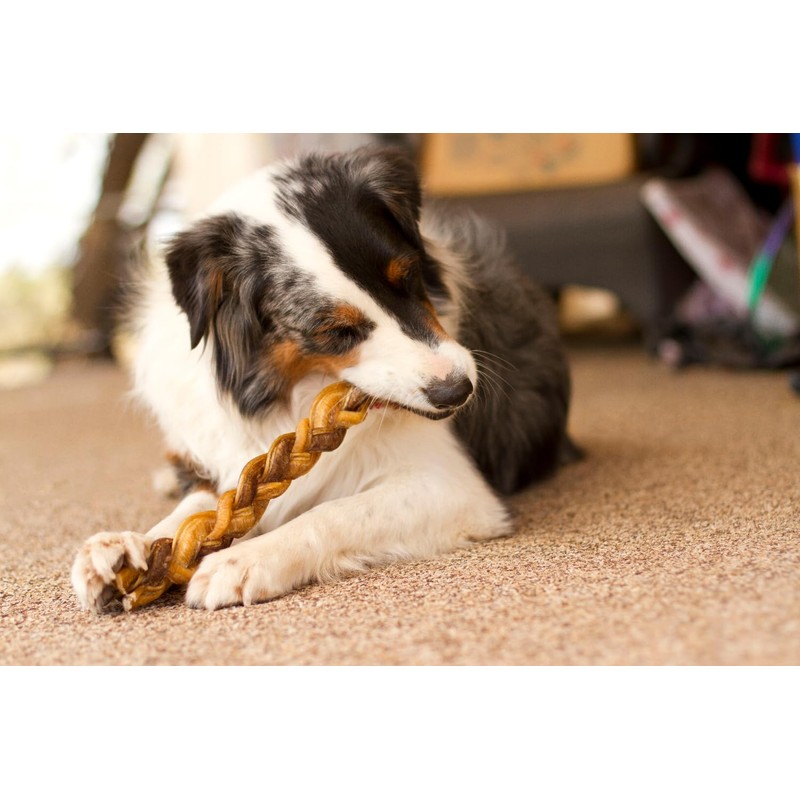 Redbarn 12" Premium Braided Bully Sticks for Dogs - Natural
