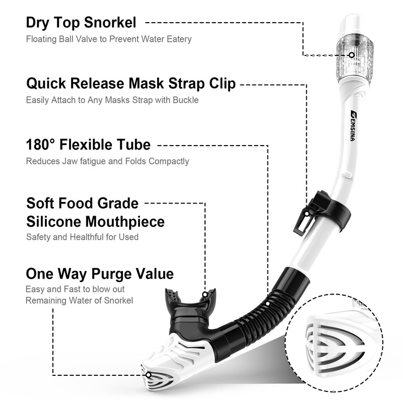 EMSINA Dry Snorkel Set,Panoramic Wide View,Anti-Fog Scuba Diving Mask,Professional Snorkeling