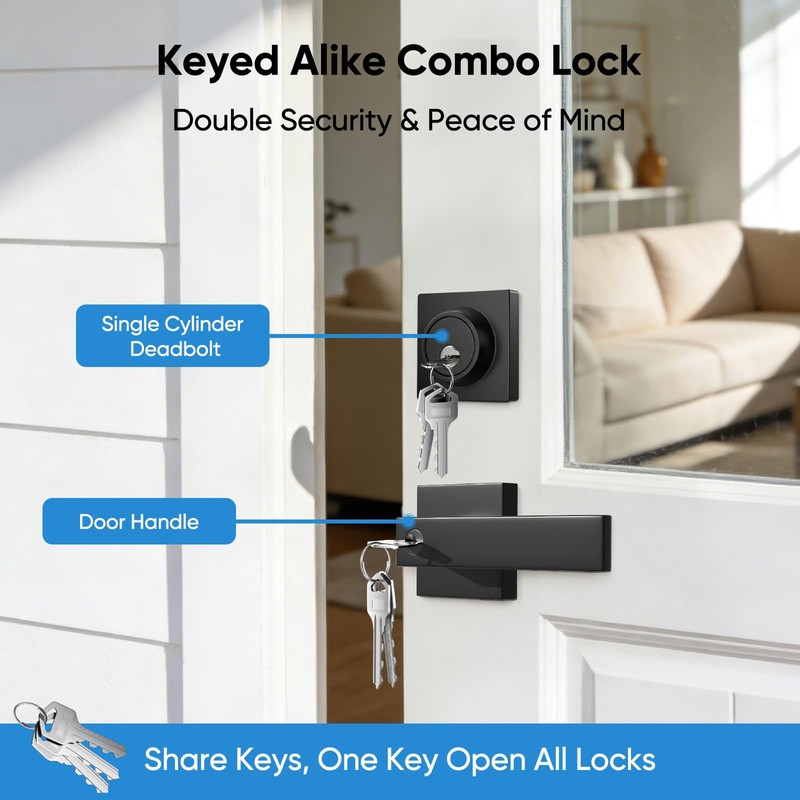 Exterior Door Handle and Deadbolt Set, 1 Pack, 6 Same